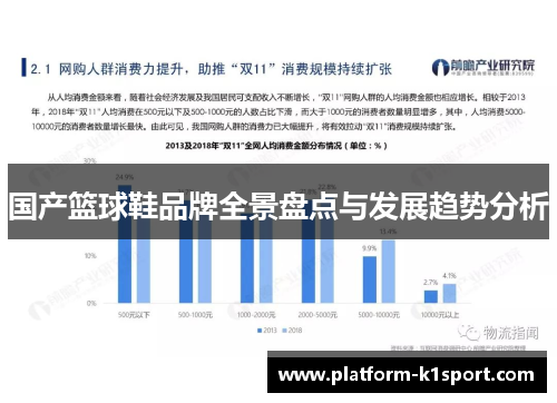 国产篮球鞋品牌全景盘点与发展趋势分析