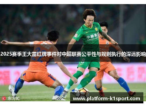 2025赛季王大雷红牌事件对中超联赛公平性与规则执行的深远影响