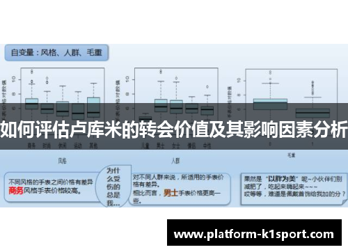 如何评估卢库米的转会价值及其影响因素分析