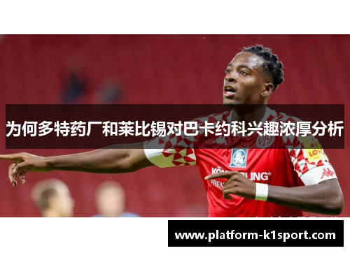 为何多特药厂和莱比锡对巴卡约科兴趣浓厚分析