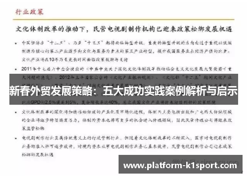 新春外贸发展策略：五大成功实践案例解析与启示