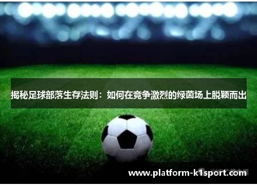 揭秘足球部落生存法则：如何在竞争激烈的绿茵场上脱颖而出